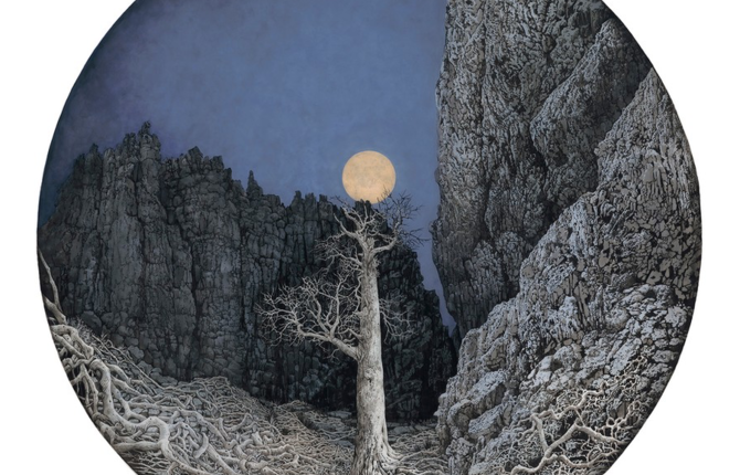 Beautiful Illustrations of Trees and Roots