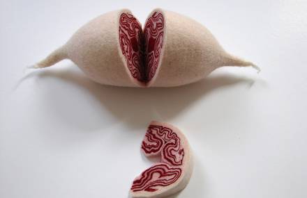 Anatomical Forms From Fabric
