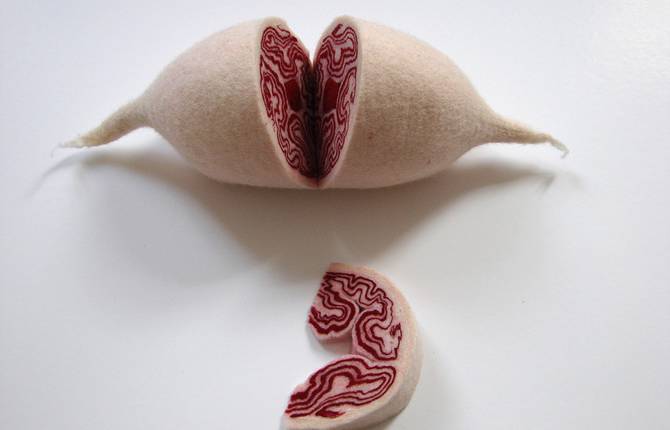 Anatomical Forms From Fabric