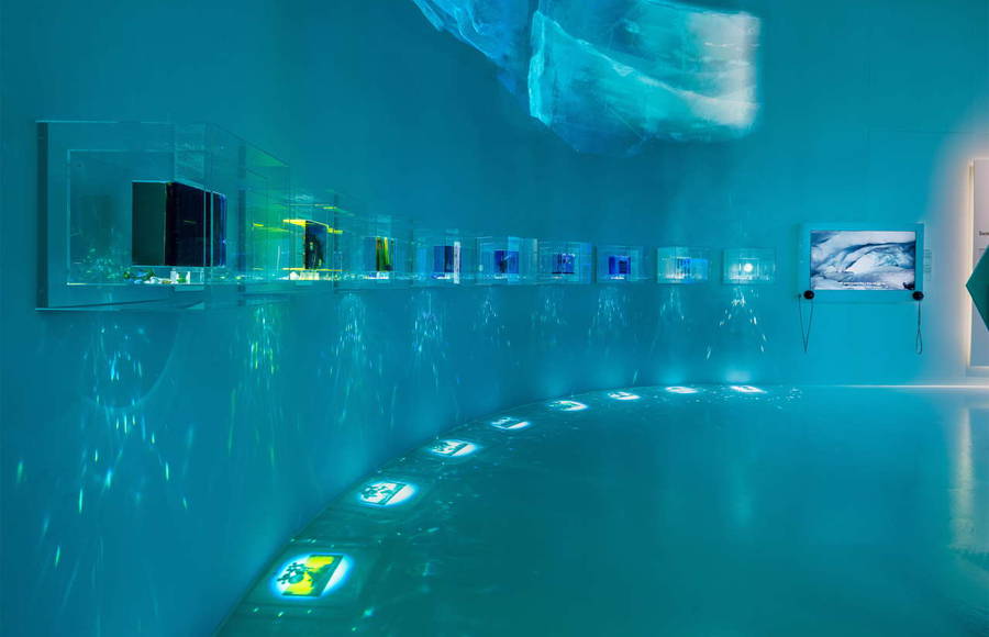 Immersive Arctic Exhibition in Stockholm