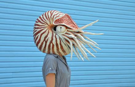 Little Animals turned into Human Scale
