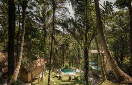 A Treehouse Hotel in Paradise