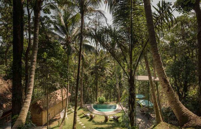 A Treehouse Hotel in Paradise