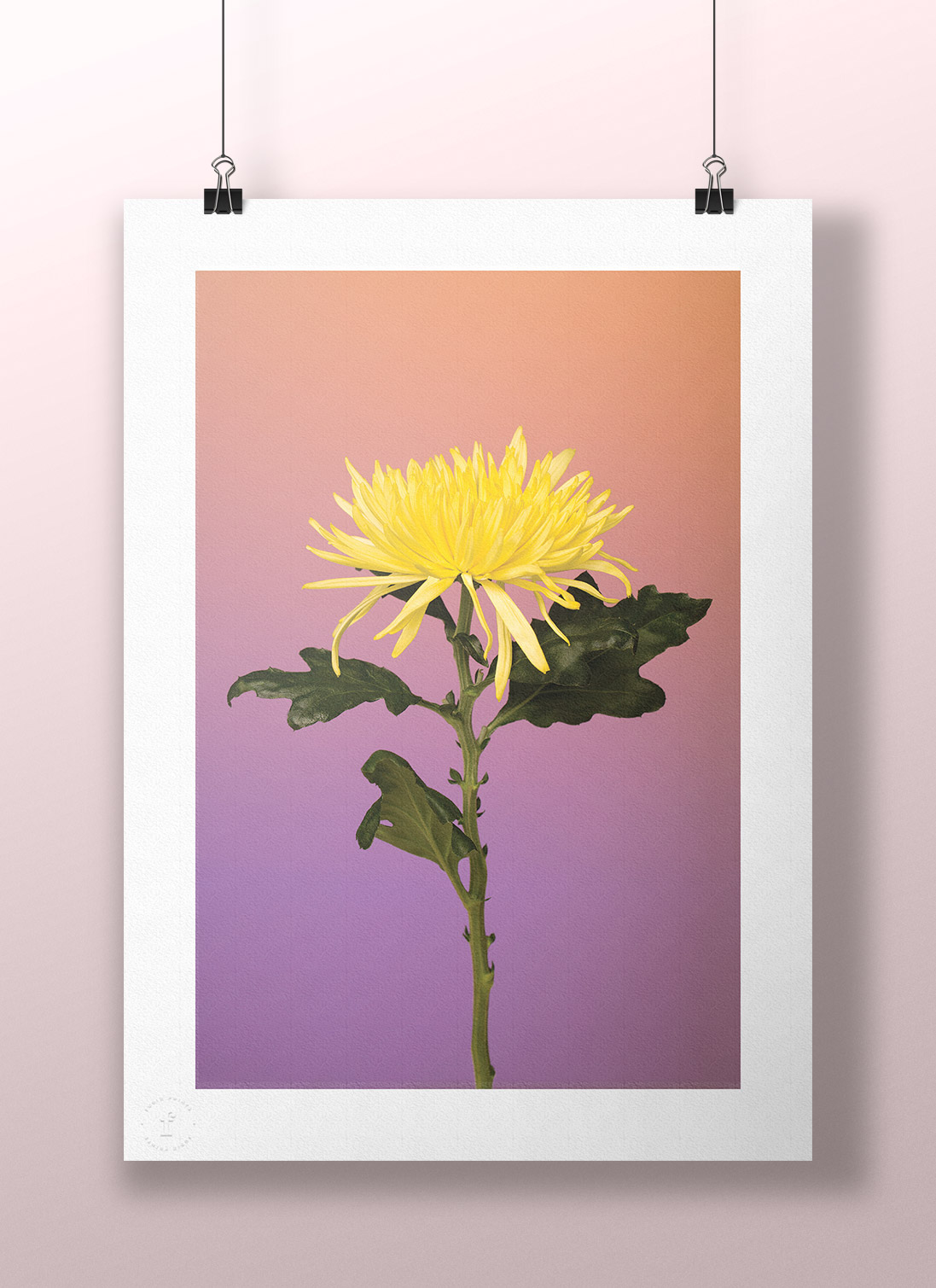 02-valentine-reinhardt-flower-poster