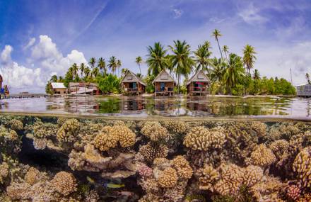 The Amazing Pictures from the Underwater Photographer of the Year Contest