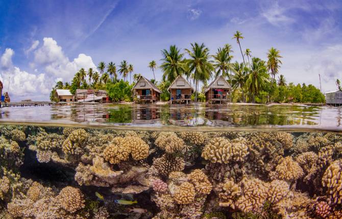 The Amazing Pictures from the Underwater Photographer of the Year Contest