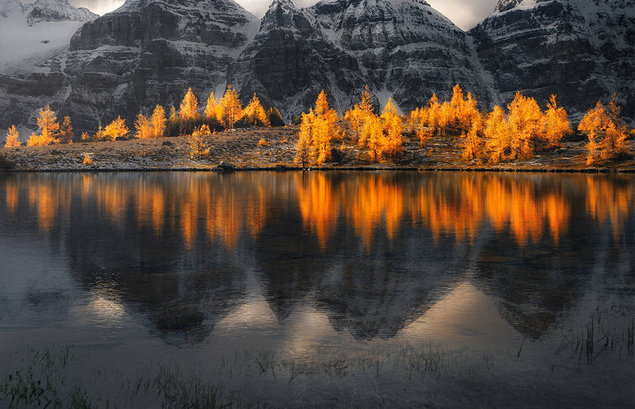 A Beautiful Getaway in the Banff Landscapes