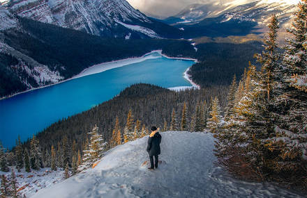 A Beautiful Getaway in the Banff Landscapes