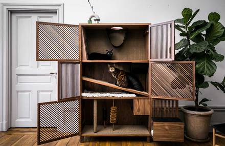 A Modern Flat Designed for Cats