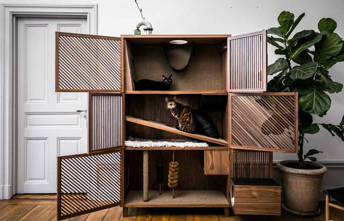 A Modern Flat Designed for Cats