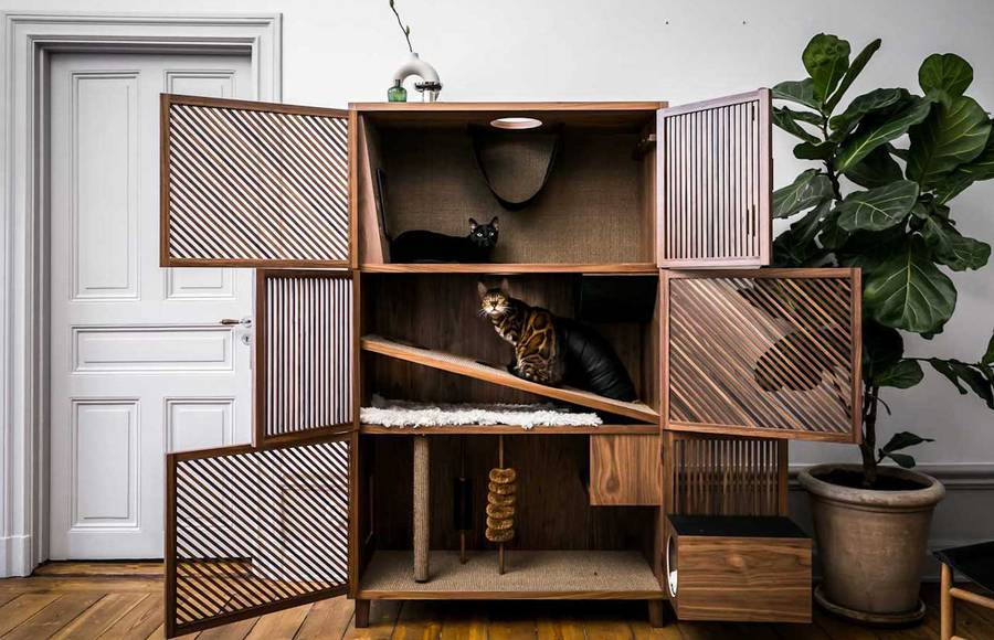 A Modern Flat Designed for Cats