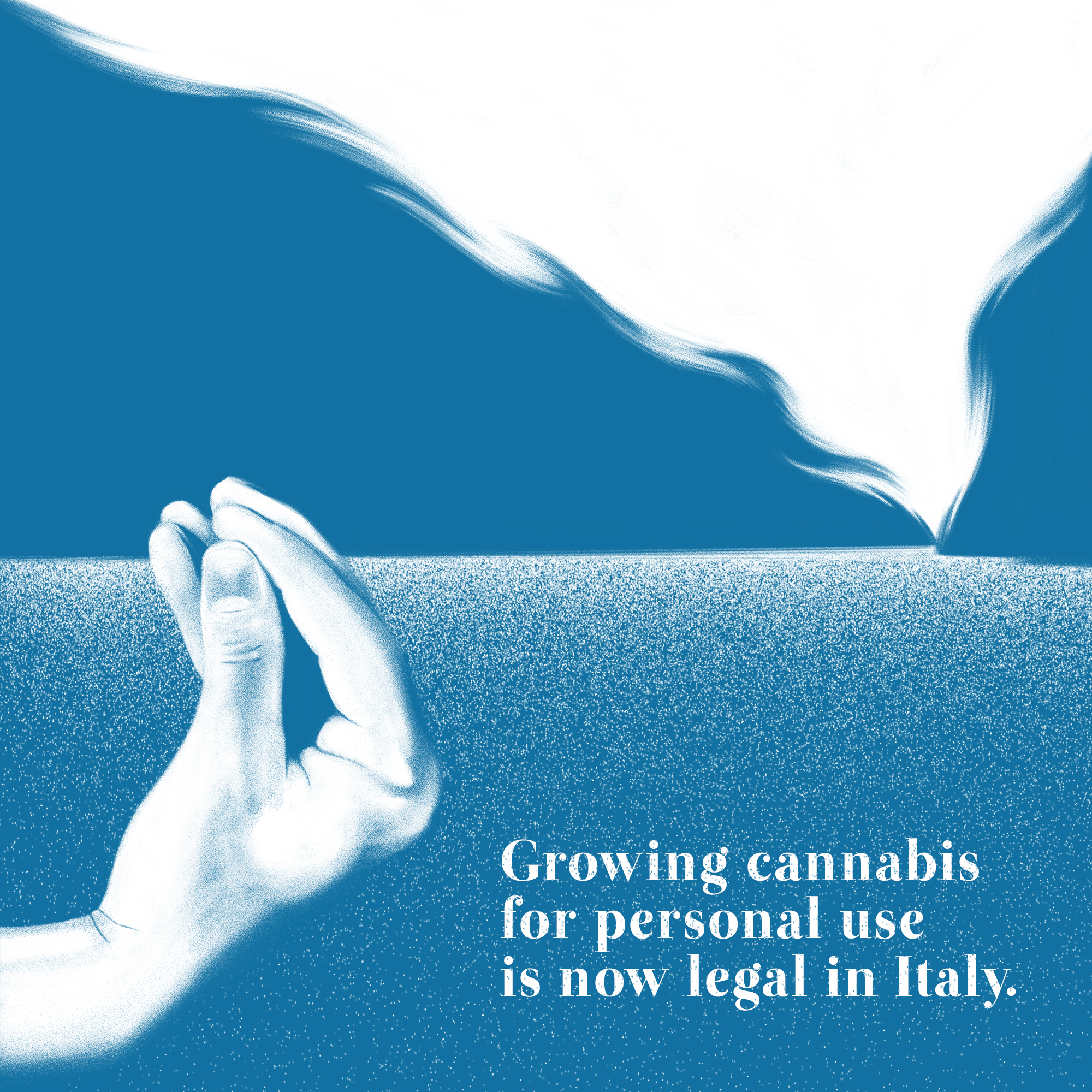 italy weed