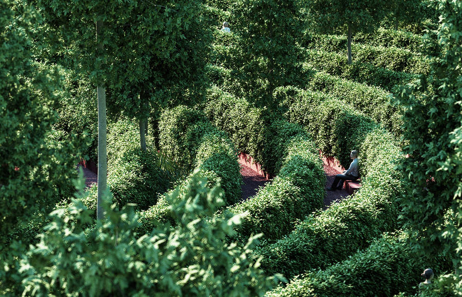 Incredible Project of Social Distanciation Park in Vienna