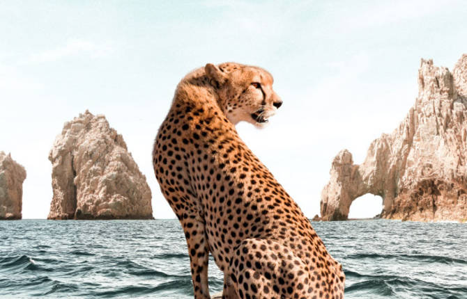 This Week on Fubiz Prints : Artist Paul Fuentes