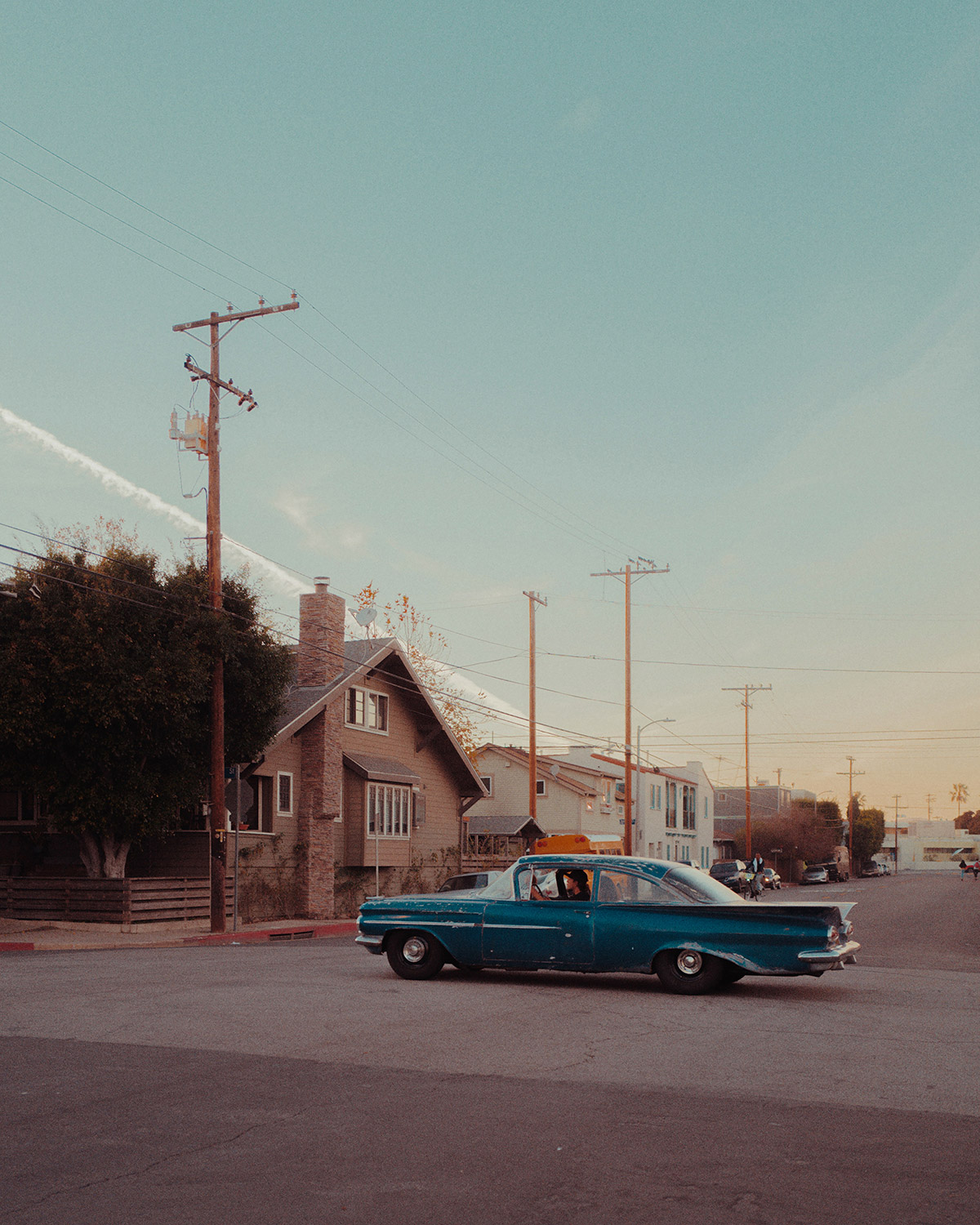 02-venicebeach-franckbohbot