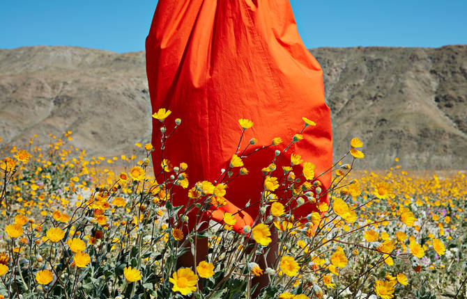 Through The Lens of Photographer Jessica Antola