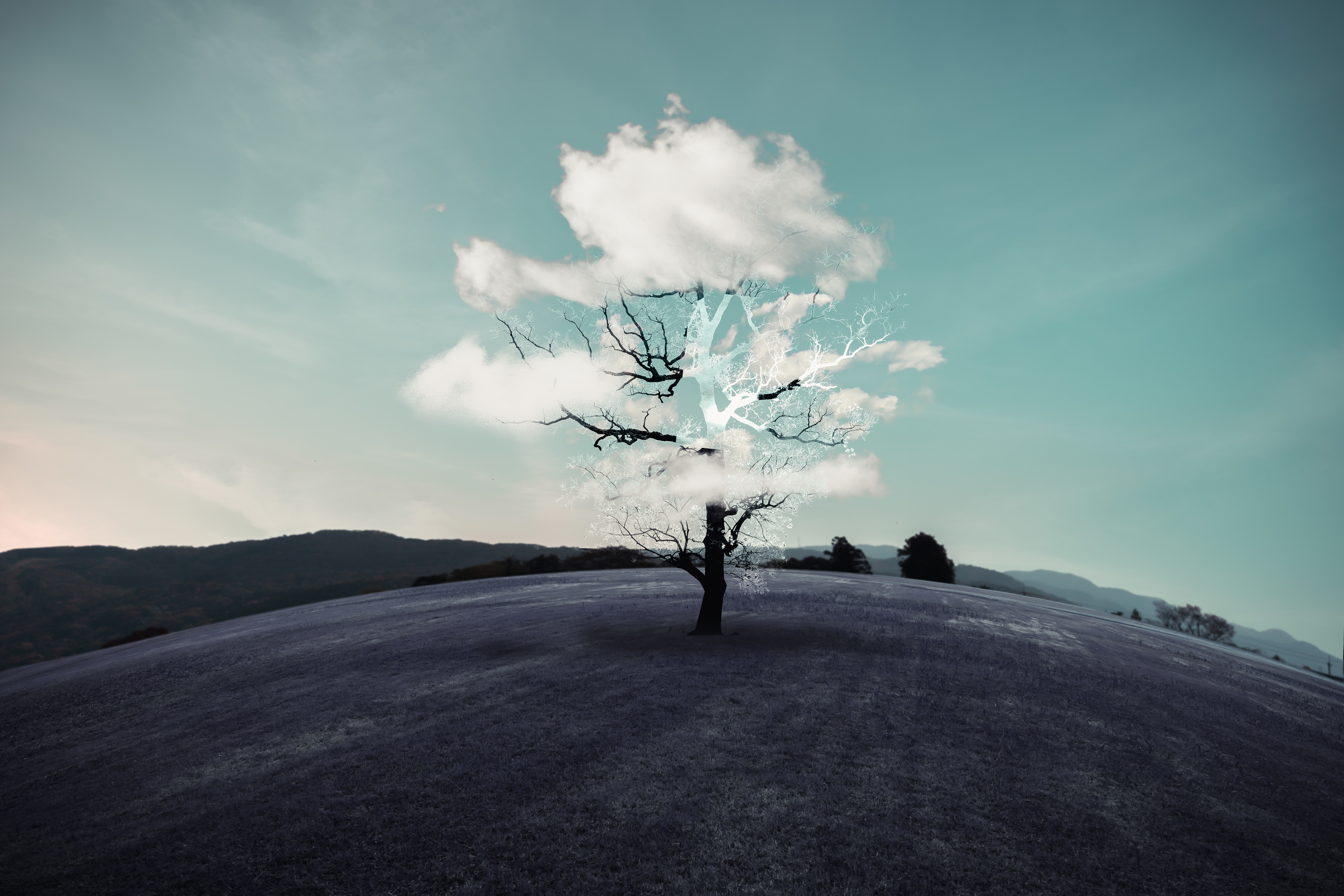 Dry trees and clouds like leaves on a purple grass. Imagine and surreal concepts.