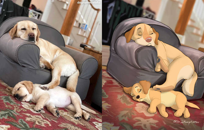 Pets Transformed Into Adorable Disney Characters