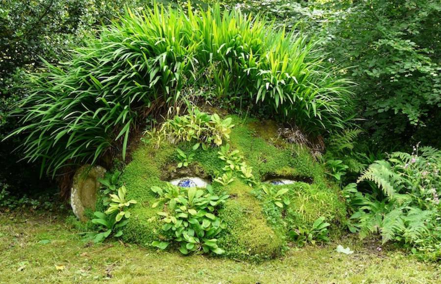 A Visit into the Lost Gardens of Heligan