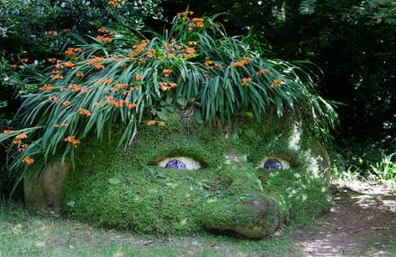 A Visit into the Lost Gardens of Heligan