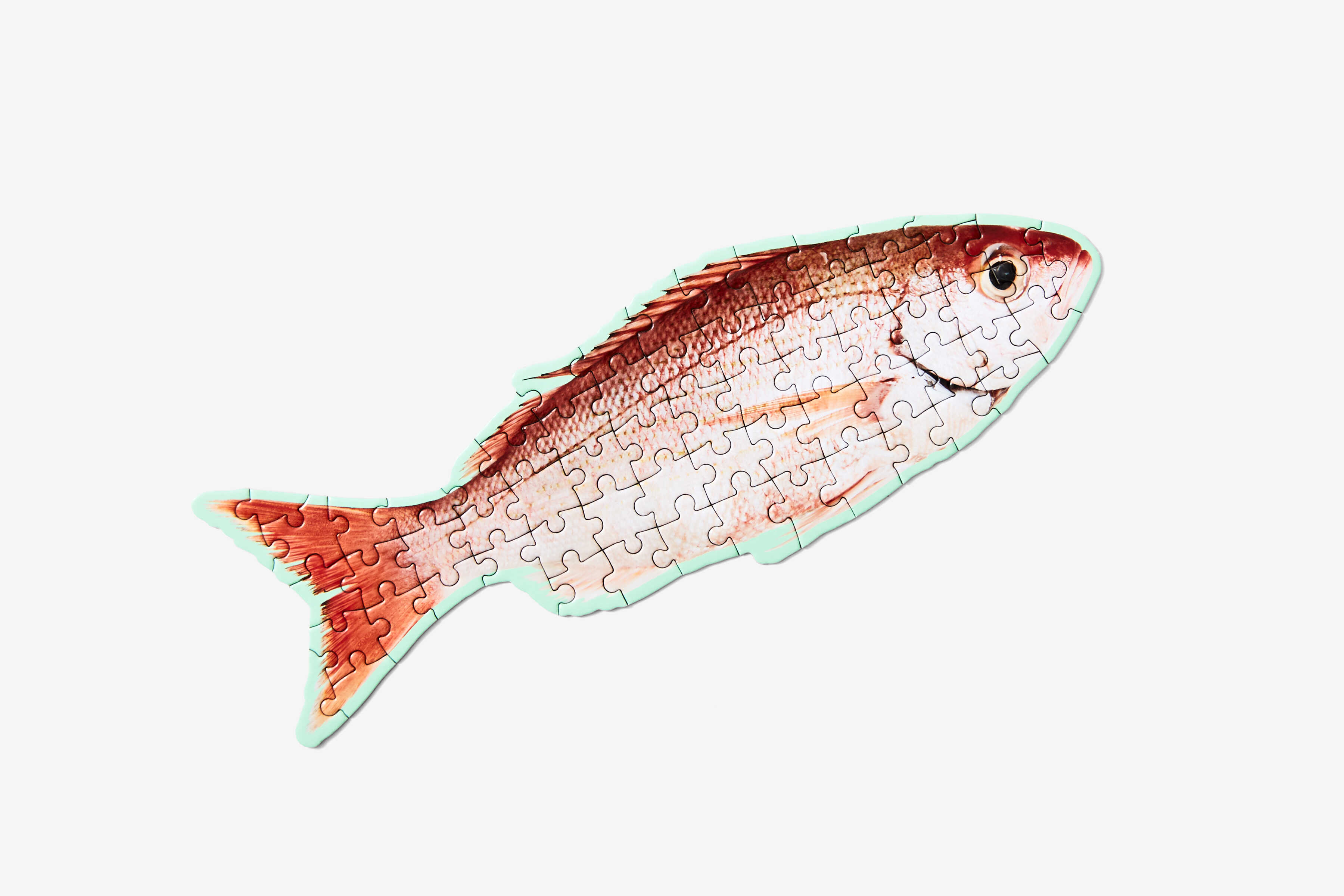 littlepuzzlething-fish_optimized