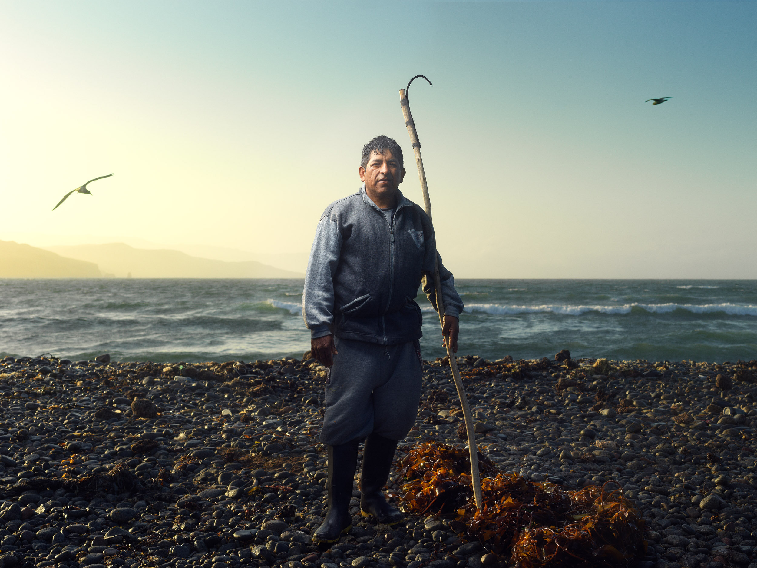 Récolteur d'Algues, Désert de Paracas