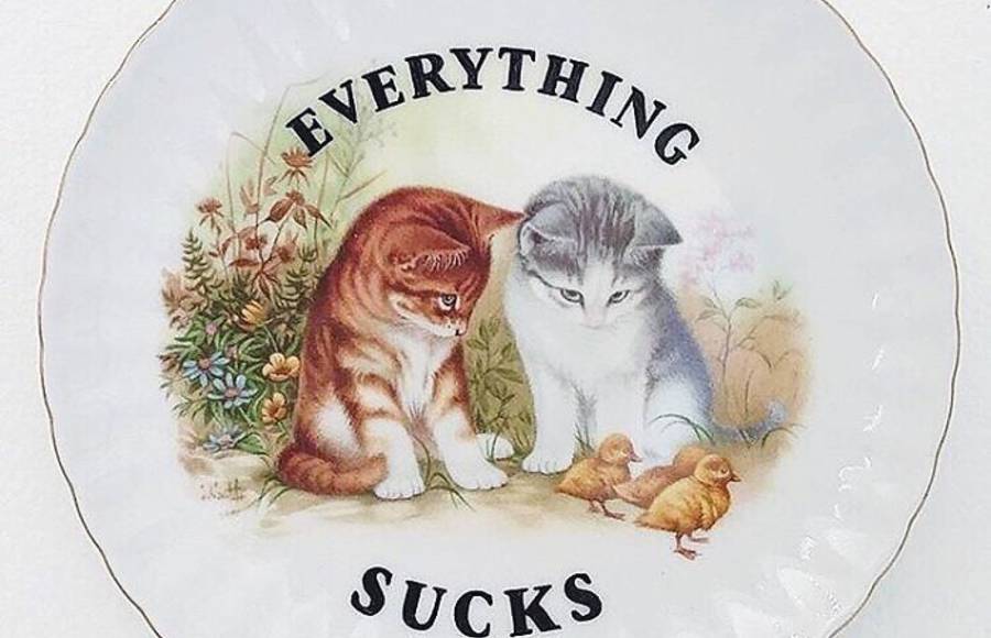 Vintage Plates Become Memes Thanks To Typography