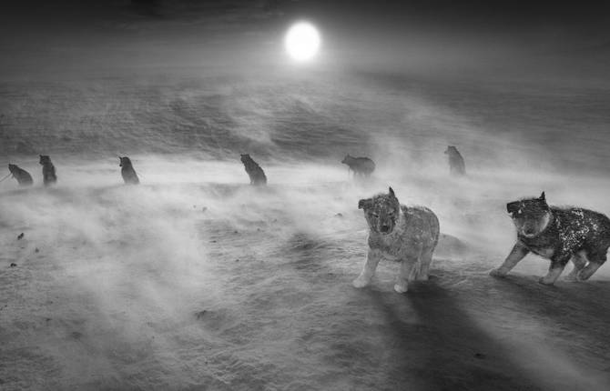 The Finalists of the Leica Oskar Barnack Award 2020