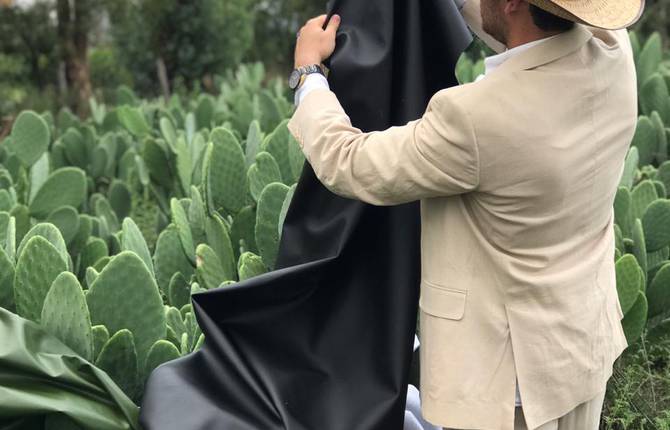 Vegan and Sustainable Leather Made with Cactus