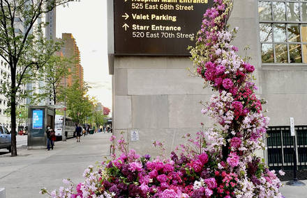 A Flower Guerilla in New York City