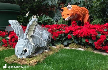 Stunning Sculptures of Animals Made with LEGO