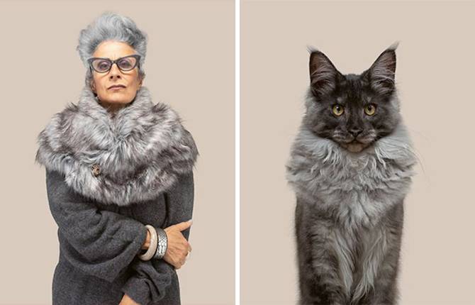 Humans Matching with Cats