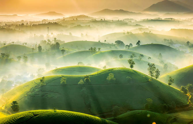 Winners of the Weather Photographer of The Year 2020