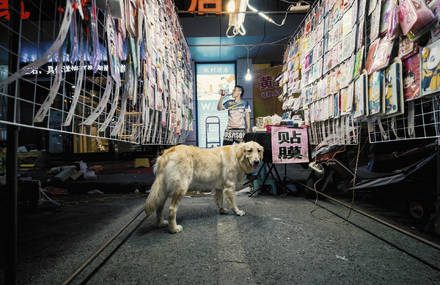 Nightlife in Wuhan Market Before Pandemic