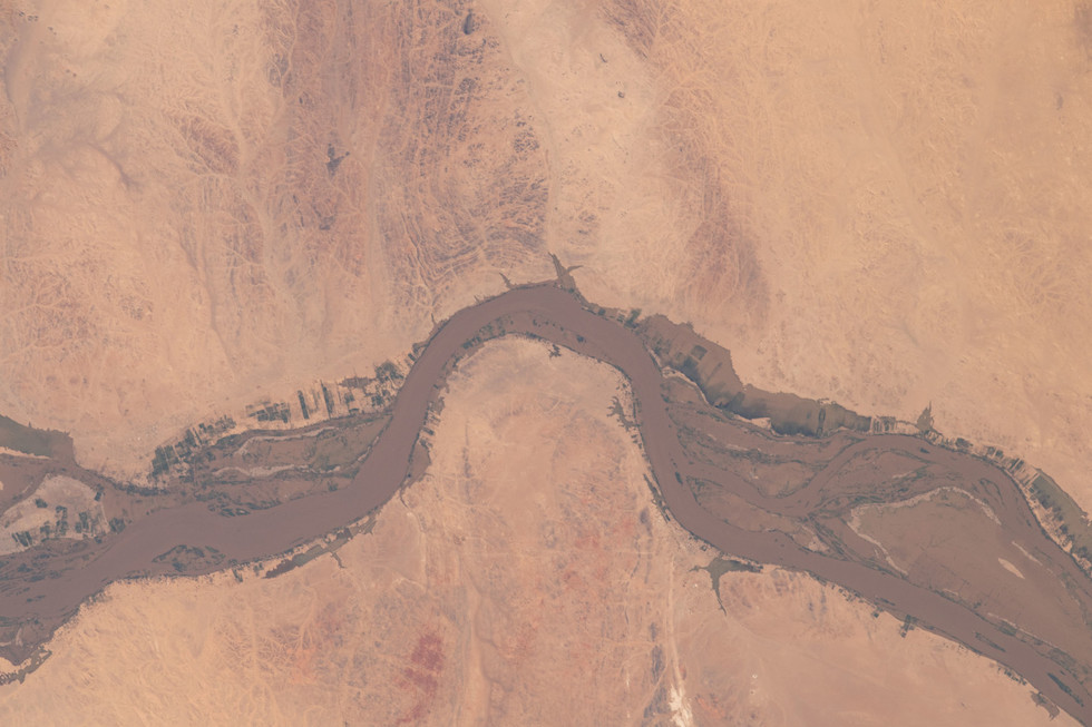 flooding-along-the-nile-in-sudan-nikon-d5-800mm-