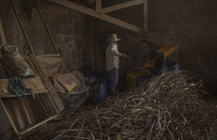 In São Paulo Main Water Reservoir