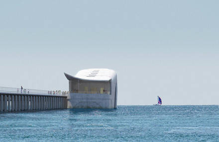 A Whale Shaped Aquarium in Australia