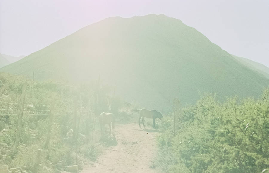 Through The Lens Of Photographer Laura Lafon