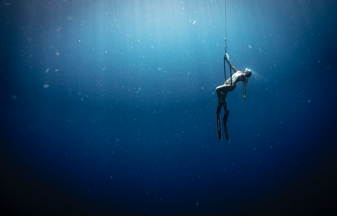 Incredible Underwater Photographs by Bastien Soleil