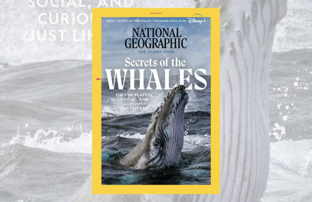 National Geographic for the Defense of Whales in its May Issue