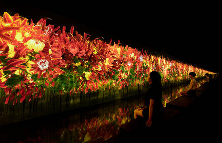 A Sauna Experience the Latest Art Installation of TeamLab in Tokyo