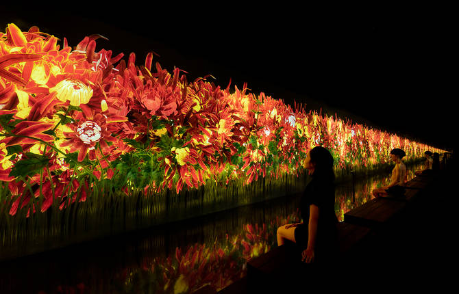 A Sauna Experience the Latest Art Installation of TeamLab in Tokyo