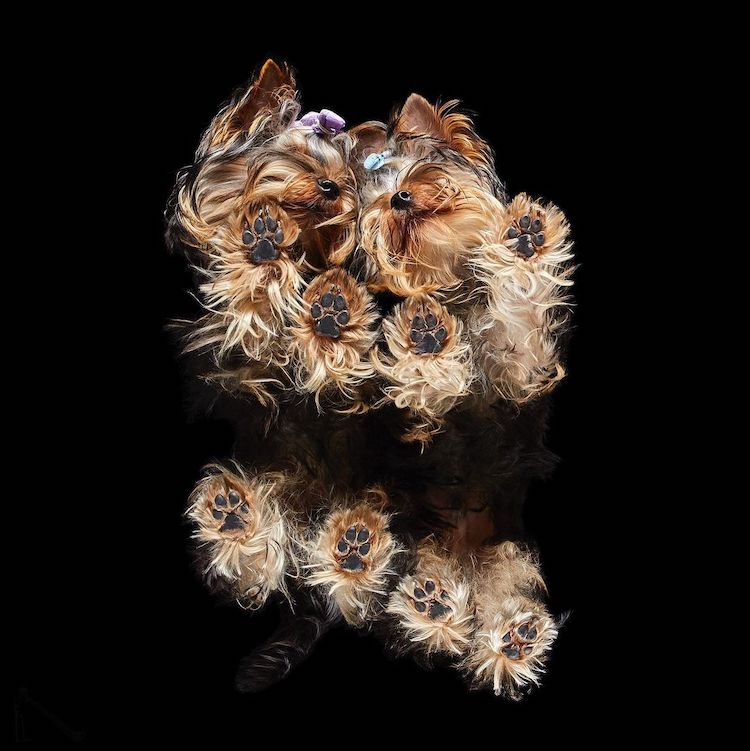 underlook-andrius-burba-8