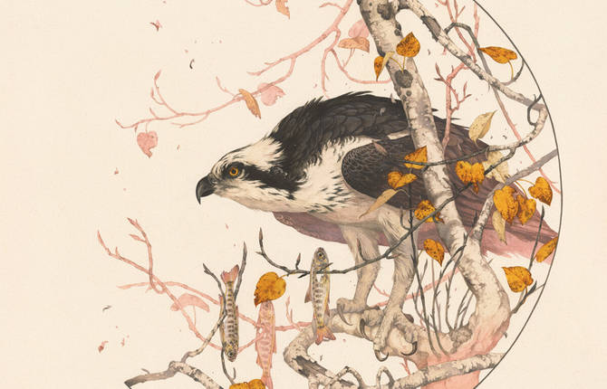 Poetic and Delicate Flora and Fauna Illustrations