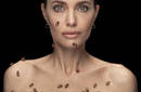 Angelina Jolie Covered in Bees to Encourage Conservation