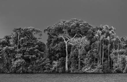 Amazônia : the New Book of Sebastião Salgado