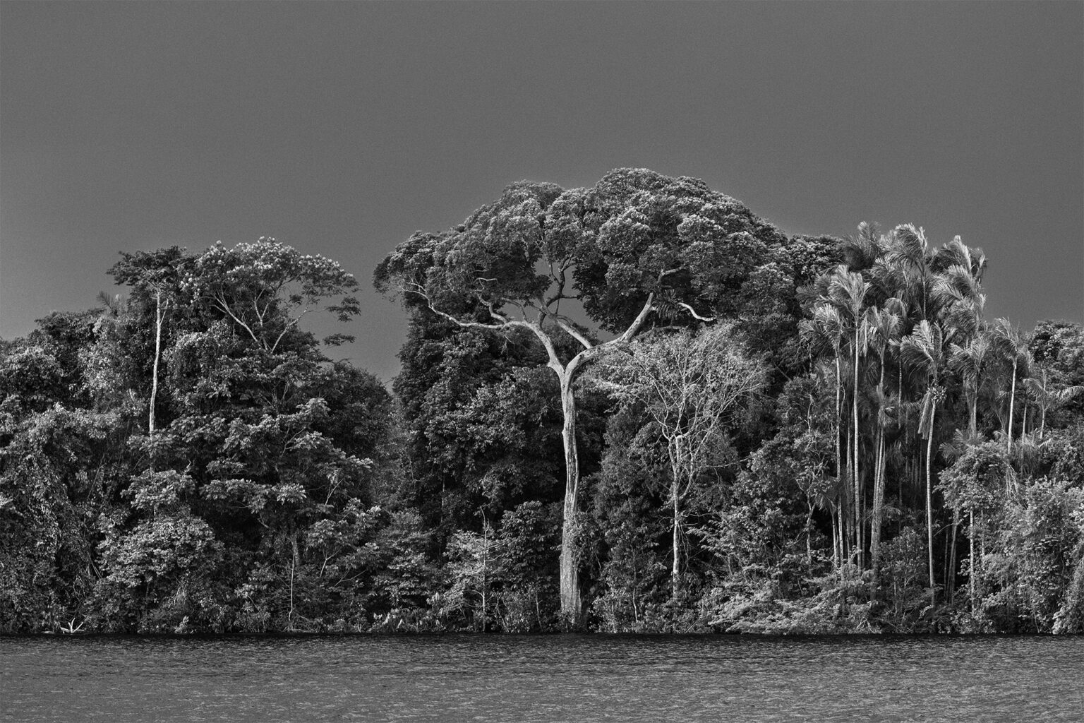 salgado-1-1536x1024