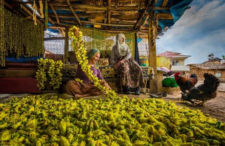 World’s Best Food Photography