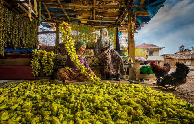 World’s Best Food Photography