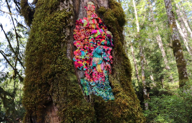Art Installation to Draw Attention on Nature